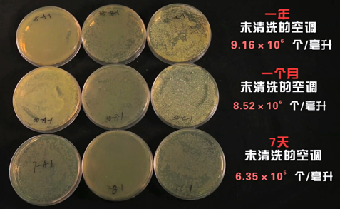 高溫來襲 警惕空調散熱片暗藏細菌